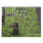 bear, calendar, photography