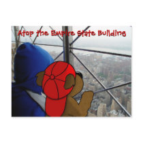 'Bear's Dizzying View' NY Postcard