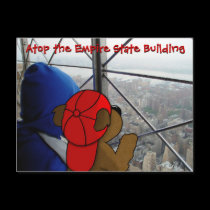'Bear's Dizzying View' NY Postcard