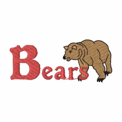 Bears Embroidered Hooded Sweatshirt