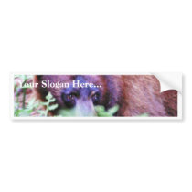 Bears Ferns bumper stickers