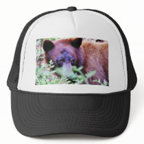 Bears Ferns hats by lifesphere Bears Ferns hats