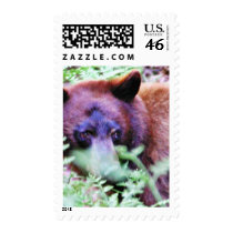 Bears Ferns postage