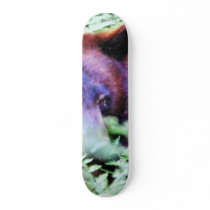 Bears Ferns skateboards by lifesphere Bears Ferns skateboards
