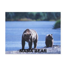 bears, MAMA BEAR postcards by adeolagbadamosi bears, MAMA BEAR postcards