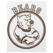 Bears Mascot flyers by CustomSportsTshirts Bears Mascot flyers