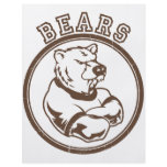 Bears Mascot Custom Flyer