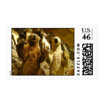 Bears Postage