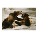 Bears posters