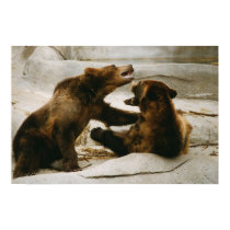 Bears posters