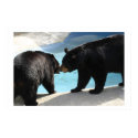 Bears posters by timndeb Bears posters
