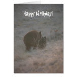 Bears Walking at Sunset; Happy Birthday Greeting Cards