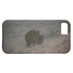 Bears Walking at Sunset iPhone 5 Cover