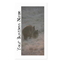 Bears Walking at Sunset; Promotional Business Card Templates