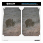 Bears Walking at Sunset Turtle Beach X41 Skin