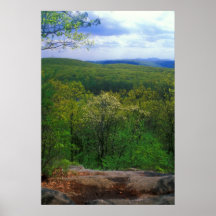 Beartown State Forest Appalachian Trail Leafout Print