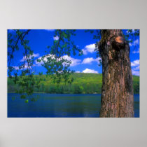 Beartown State Forest Benedict Pond Print