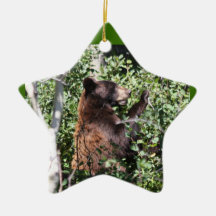 Beary Christmas Christmas Tree Ornaments
