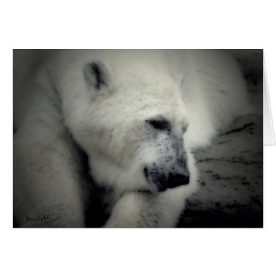 Beary Cool Greeting Card by JennieM