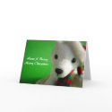 Beary Merry Christmas Card