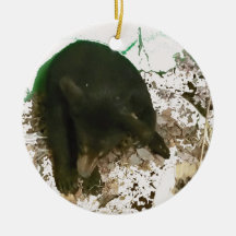 Beary Merry Christmas Ornament