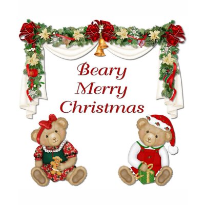 Beary Merry Christmas t-shirts
