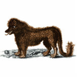 Beast of Gévaudan Photo Sculpture