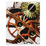 Beaten Up Clock Gears Custom Flyer