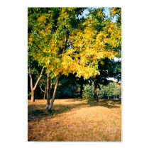 Beatiful Autumn Tree posters