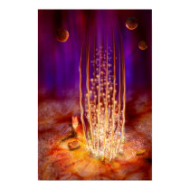Beatrice - (small size) Poster posters by Houk Beatrice - (small size) Poster posters