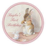 Beatrix Potter Custom Birthday DIY Cupcake Toppers Stickers
