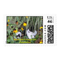 Beau in the flowers stamp