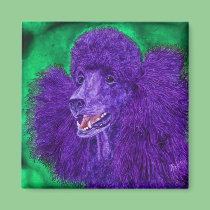 "Beau" - Poodle Magnet magnets