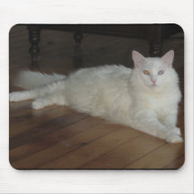 Beau the Turkish Angora Cat Mousepad