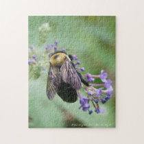 Beau-tiful Bee! puzzles