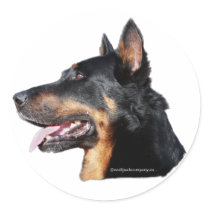 beauceron black and tan sticker