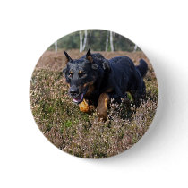 Beauceron Pin