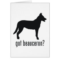 Beauceron Cards