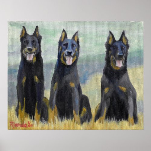 Beauceron Dog Portrait print