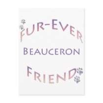 Beauceron Furever Post Cards