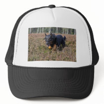 Beauceron Trucker Hat