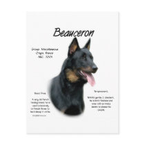 Beauceron History Design Post Cards