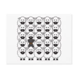 Beauceron in the Sheep Post Cards