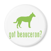 Beauceron Fridge Magnets