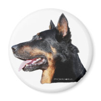 beauceron refrigerator magnet