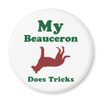 Beauceron Fridge Magnet