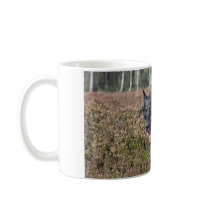 beauceron mug