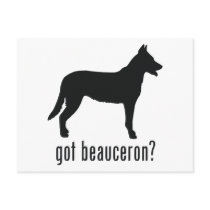 Beauceron Postcards
