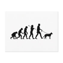 Beauceron Postcards