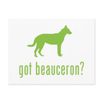 Beauceron Post Cards